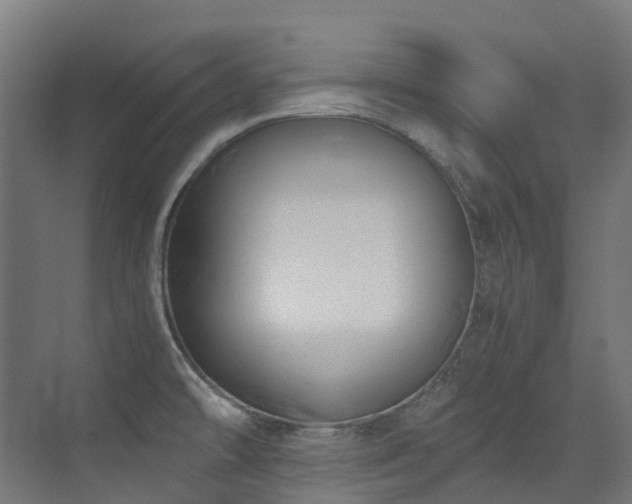 X0000072931478200607211114