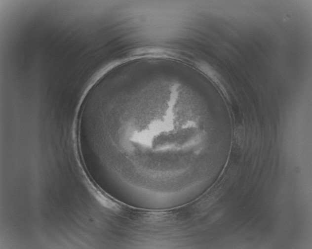 X0000072931482200607211114