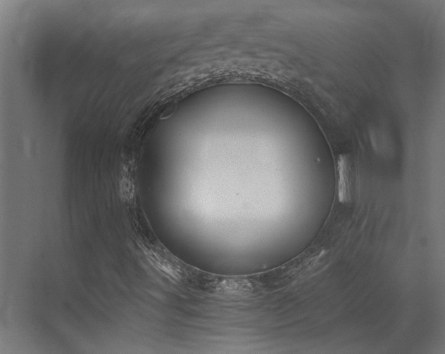 X0000072931491200607211113