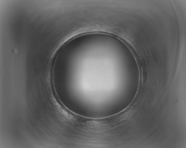 X0000072931500200607211113