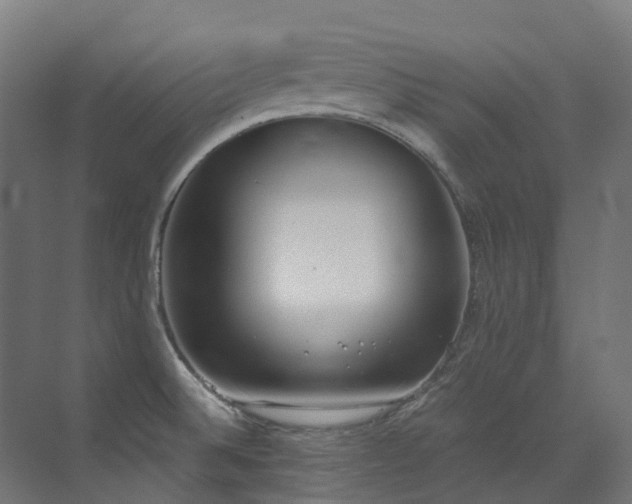 X0000072931524200607211114