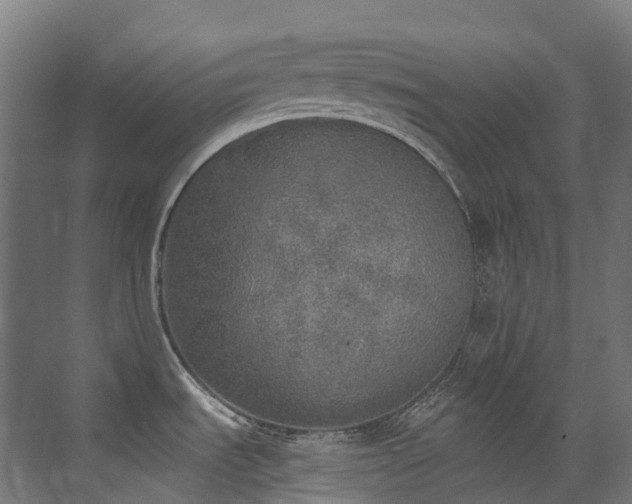 X0000072931535200607211114