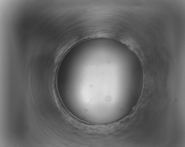 X0000072930001200607282149