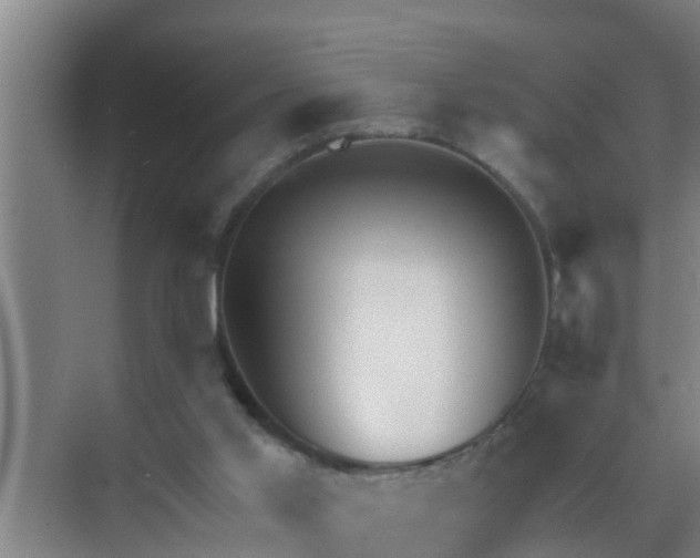 X0000072930013200607282149