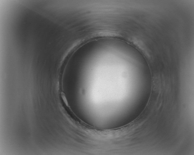 X0000072930015200607282149