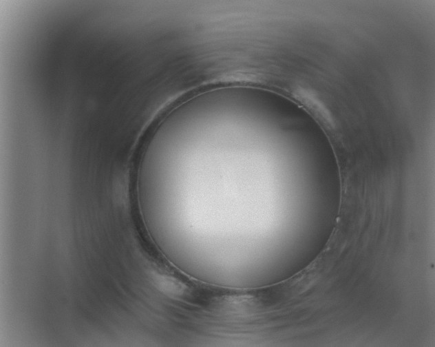 X0000072930108200607282148