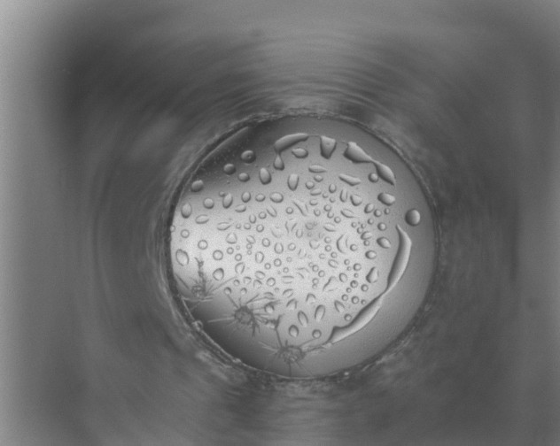 X0000072930241200607282144