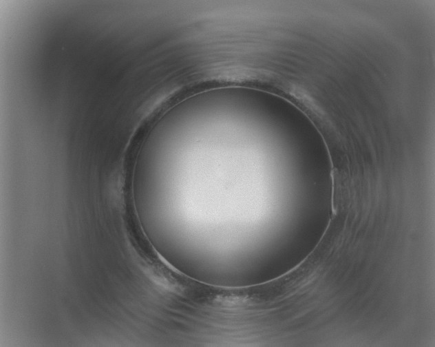 X0000072930440200607282141