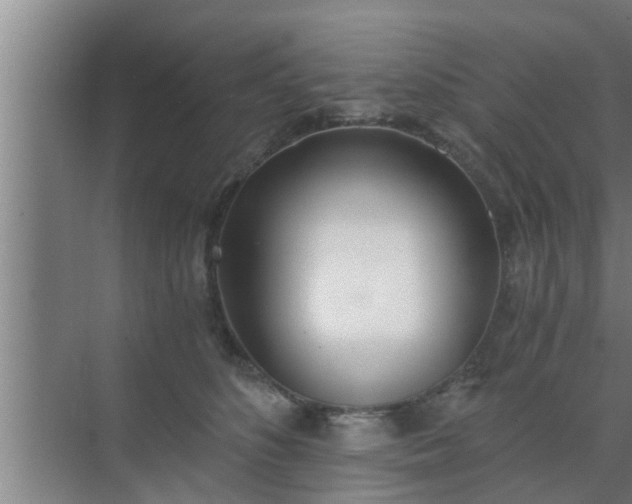 X0000072930516200607282141