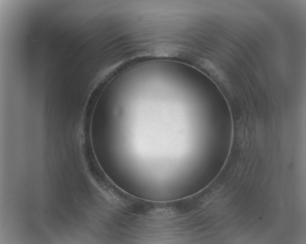 X0000072930536200607282140