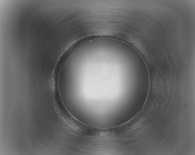 X0000072930584200607282139