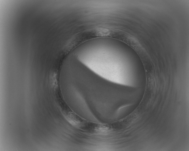 X0000072930598200607282139