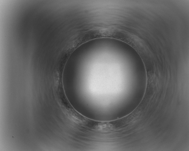 X0000072930752200607282137