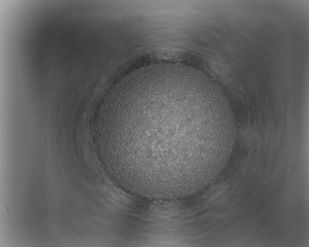 X0000072930817200607282135