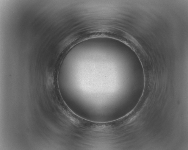 X0000072930826200607282135