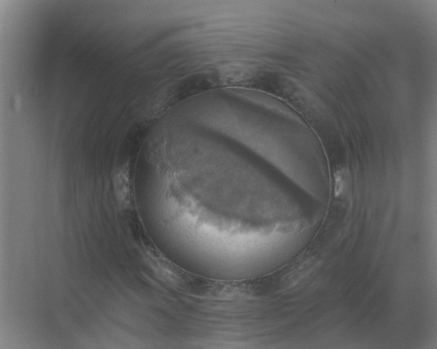 X0000072931011200607282132