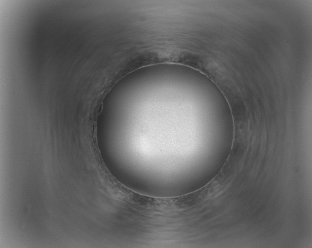 X0000072931249200607282128