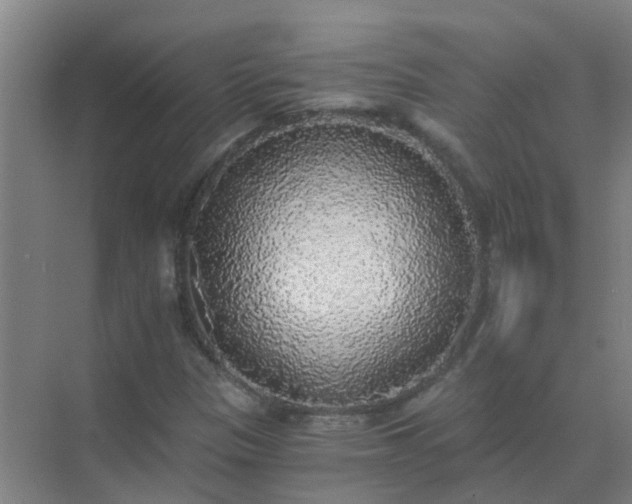 X0000072931305200607282127