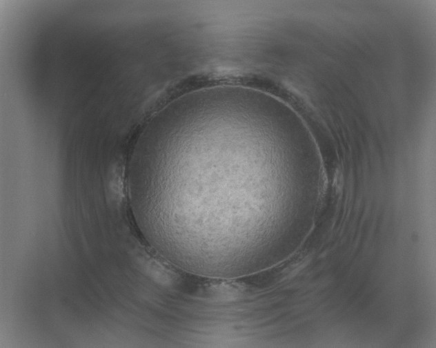 X0000072931348200607282127