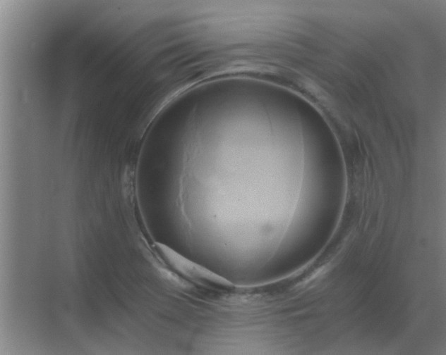 X0000072931369200607282126