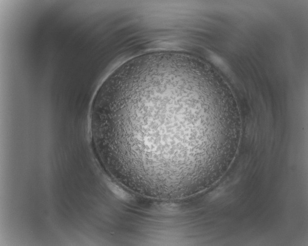 X0000072931370200607282126