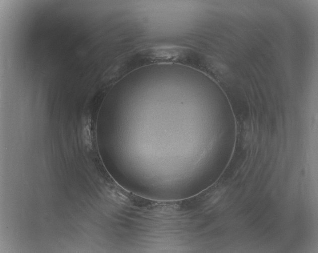 X0000072931394200607282125