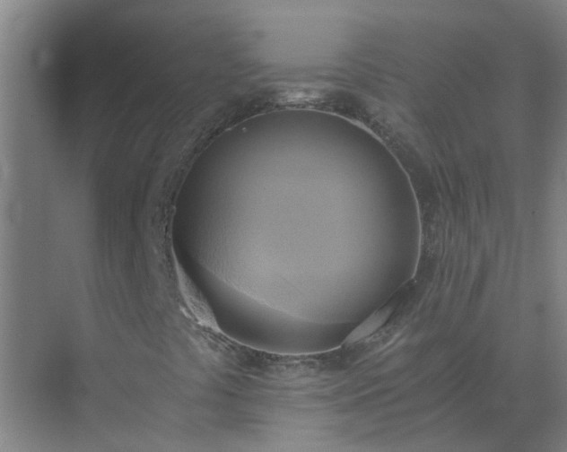 X0000072931441200607282125
