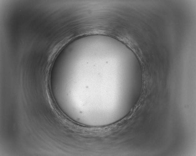 X0000072930001200608041228