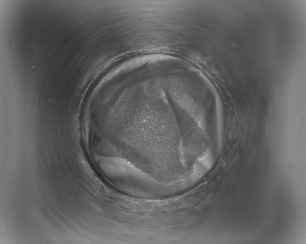 X0000072930002200608041228