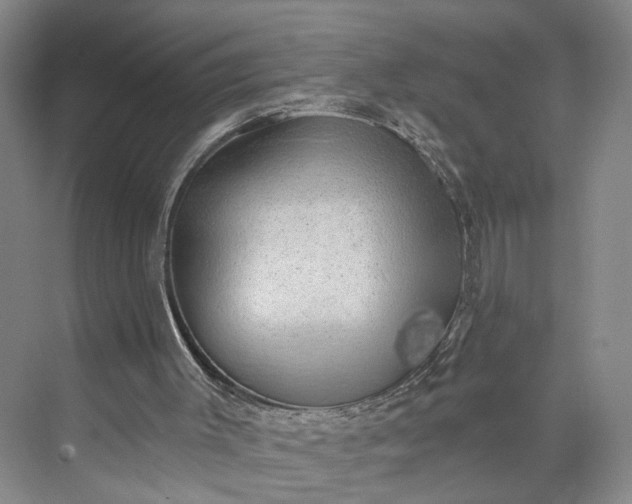 X0000072930003200608041228