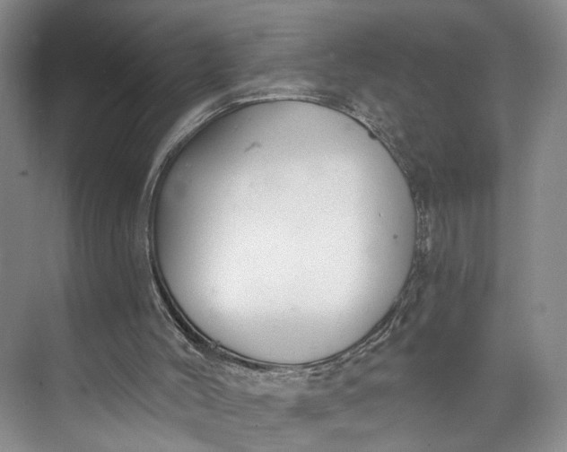 X0000072930004200608041228