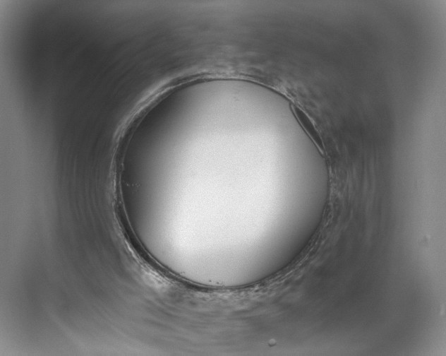 X0000072930005200608041228