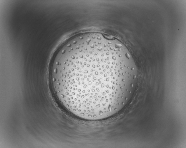 X0000072930006200608041228