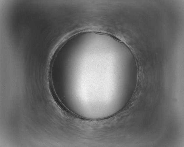 X0000072930007200608041228