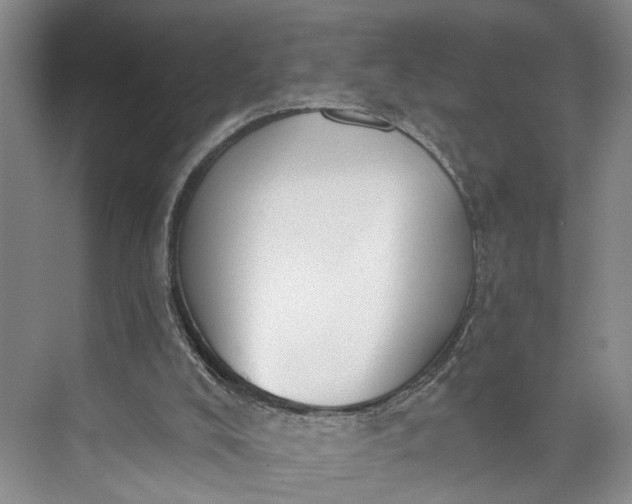 X0000072930008200608041228