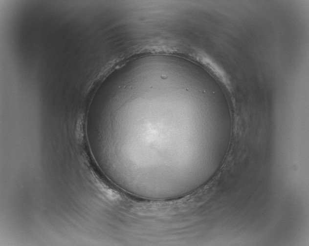 X0000072930009200608041228