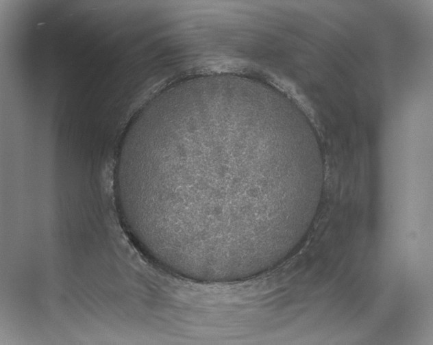 X0000072930010200608041228