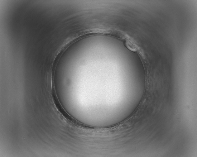 X0000072930011200608041228