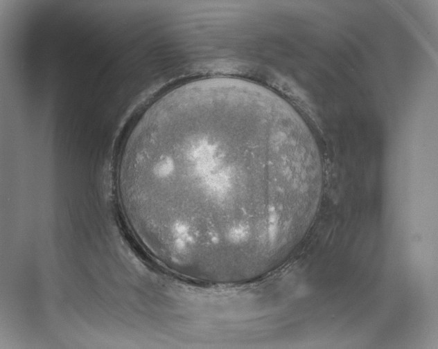 X0000072930012200608041228