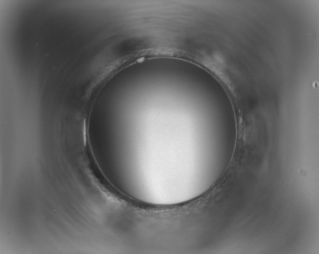 X0000072930013200608041228