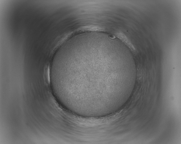 X0000072930014200608041228