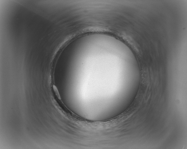 X0000072930015200608041228