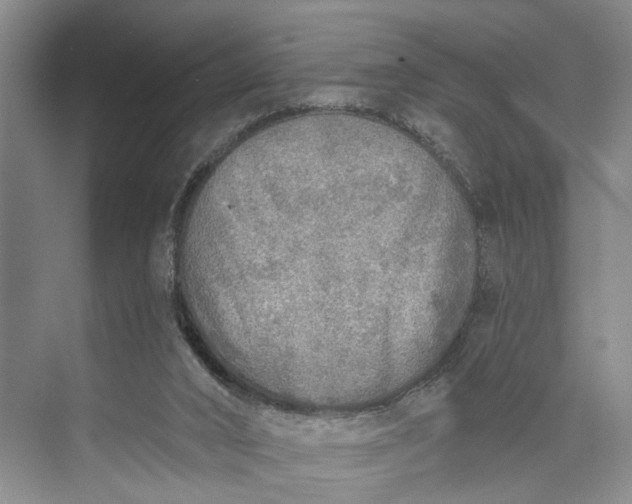 X0000072930016200608041228