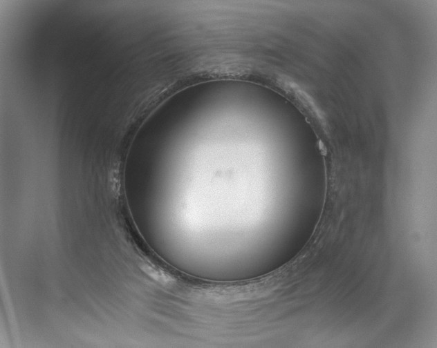 X0000072930017200608041228