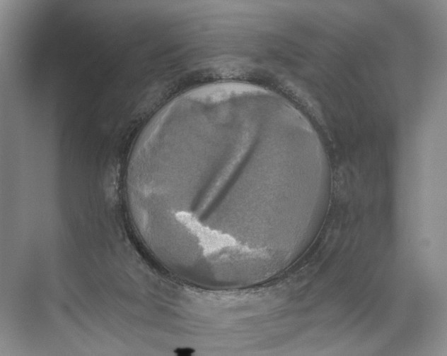 X0000072930018200608041228