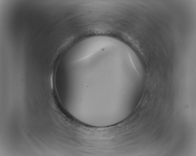 X0000072930019200608041228