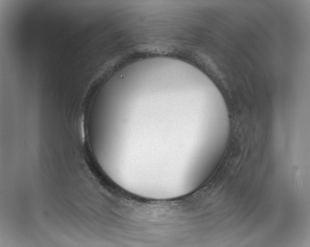 X0000072930020200608041228