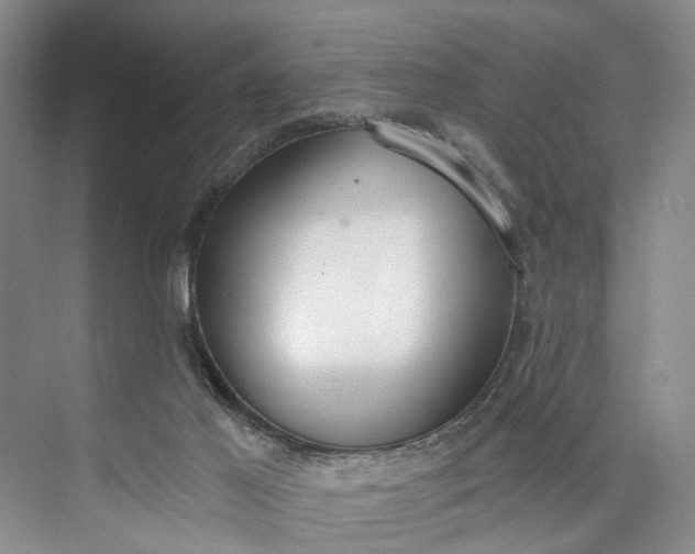 X0000072930021200608041228