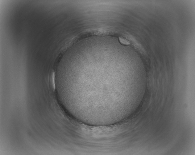 X0000072930022200608041228