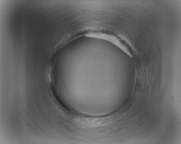 X0000072930023200608041228